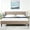 Mink, variant on Queen Platform Bed In Grey Velvet With High Foam And Support Modern Stable Birch Hardwood Base