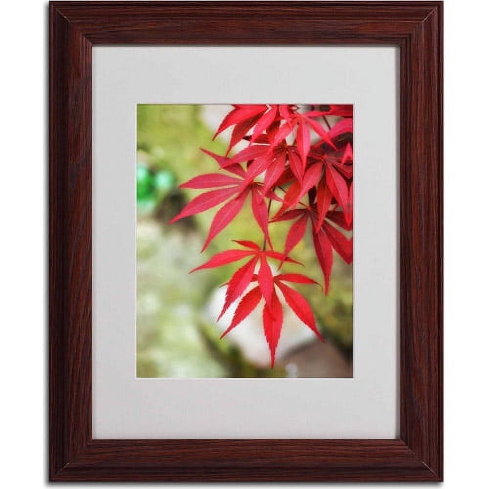 Trademark Fine Art "Japanese Maple" Canvas Art by Philippe Sainte-Laudy, Wood Frame