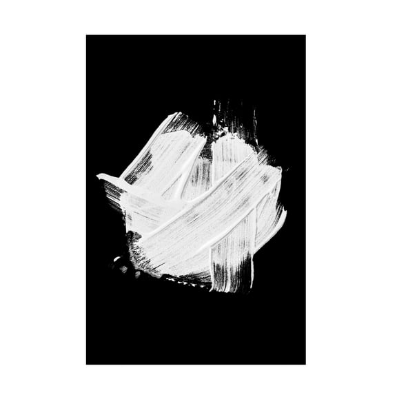 Trademark Fine Art Shot by Clint Minimalism 02 Canvas Wall Art