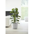 thumbnail image 4 of Ecopots Oslo 14” x 14” x 12” Round White Grey Recycled Plastic Planter with Drainage Hole, 4 of 4