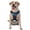 With Accessories, variant on Vsdgher Moonlit Blue Wolf Pattern Dog Harness,No Pull Pet Harness with Soft Padded Handle,Adjustable Reflective Vest with 2 Buckles,4 Slide Buckles,S-XL X-Large