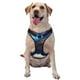 thumbnail image 1 of Balery Moonlit Blue Wolf Arnés para Perros Grandes Antitirones, Arnés con Correa para Gato, Arnés Tipo Chaleco para Perros Pequeños-Medium, 1 of 6