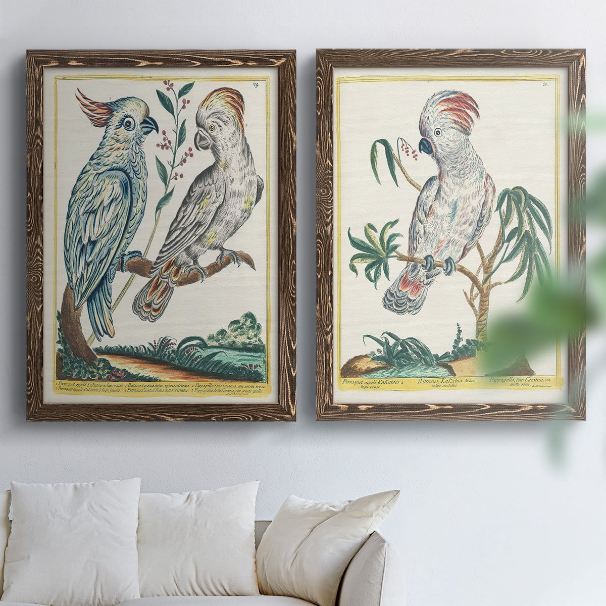 Pastel Birds I - Premium Framed Canvas 2 Piece Set - Ready to Hang