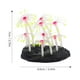 thumbnail image 2 of unbranded De Para Acuario Con De Silicona Y, 2 of 6