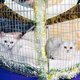 thumbnail image 3 of Hamaca Colgante para Gatos Jetec Reversible Suave y Transpirable 2 piezas, 3 of 7