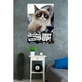 thumbnail image 2 of Grumpy Cat - Shut Up Wall Poster, 22.375" x 34", 2 of 2