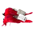 thumbnail image 7 of RAZ Imports - 7-inch Clip-On Cardinal Ornaments - Set of 2 Assorted, 7 of 7