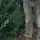 thumbnail image 4 of Leaf Rake Plastic Rake Gardening Rake Tool Small Garden Rake with Handle Lawn leveling, 4 of 5