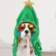 thumbnail image 4 of UPGRATOR Disfraz De Con Y Gorro Color Estilo Santa Para Perros Pequeños Y, 4 of 6