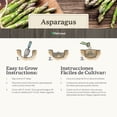 thumbnail image 4 of Asparagus Sampler, 4 of 7