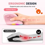 Meetion Vertical Ergonomic Mouse Pink, Wireless Bluetooth & 2.4G, Large Size, Rechargeable, USB-C