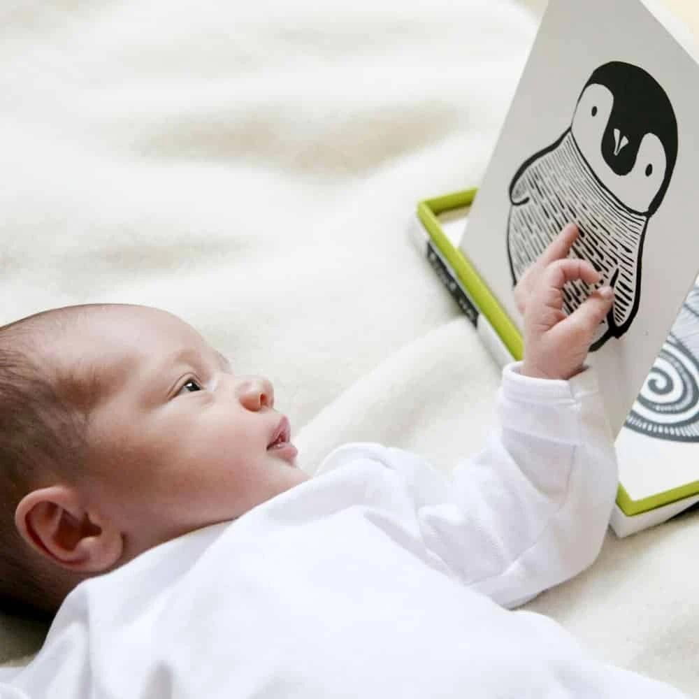 Wee Gallery Art Cards for Baby - Black and White Collection - Walmart.com