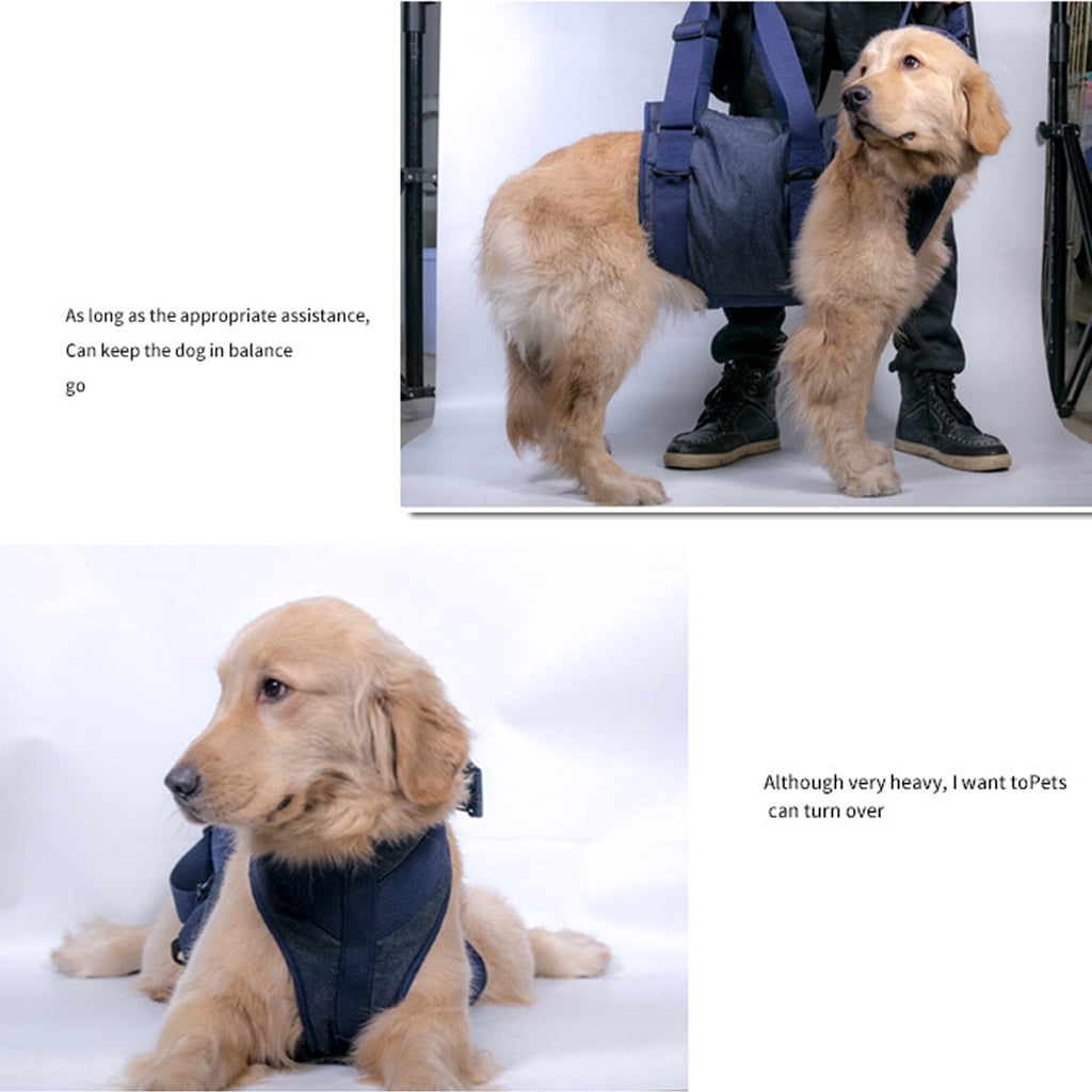 Lifting Dog Harness for Small Medium Large Dogs No Pull Assist Harness Adjustable Assist Training Supplies