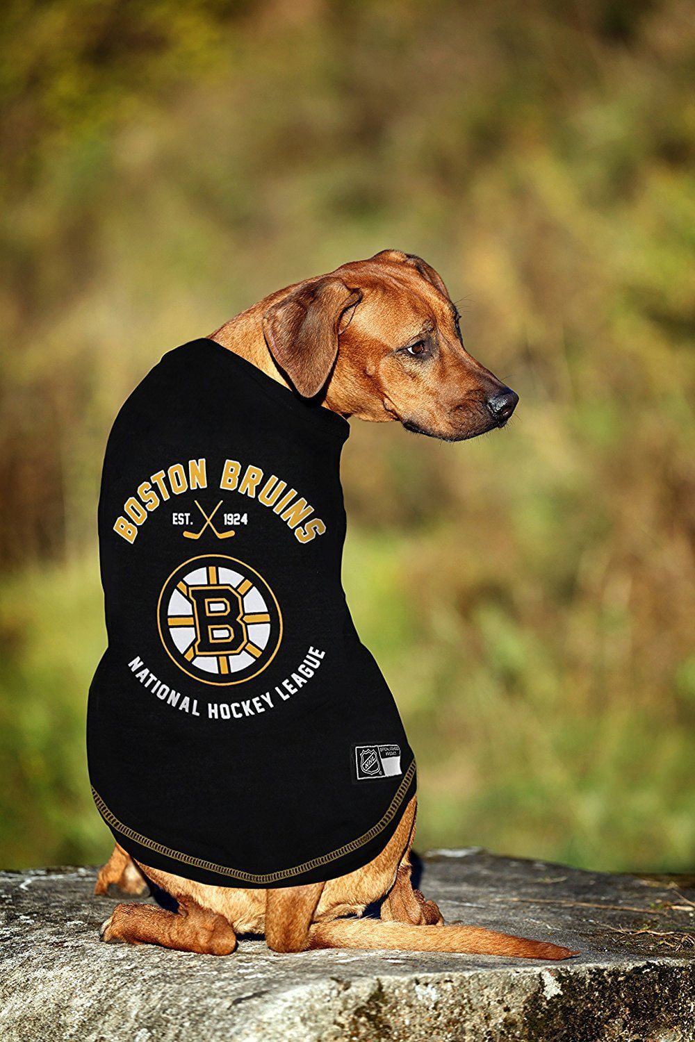 Boston Bruins Dog Pet & Humans Gear