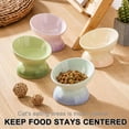 thumbnail image 5 of Ceramic Elevated Cat Bowls Tilted Cat Food Bowl Dish Pet Feeder Bowl Dishwasher Microwave Safe, 5 of 10