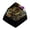 golden gear, variant on Elegant Mechanical Keyboard Keycap with Clear Feature,OEM Resin Keycap Constructions Oil Resistant Keycap