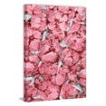 thumbnail image 4 of Marmont Hill Pink Floral Madness Painting Print on Wrapped Canvas, 4 of 4