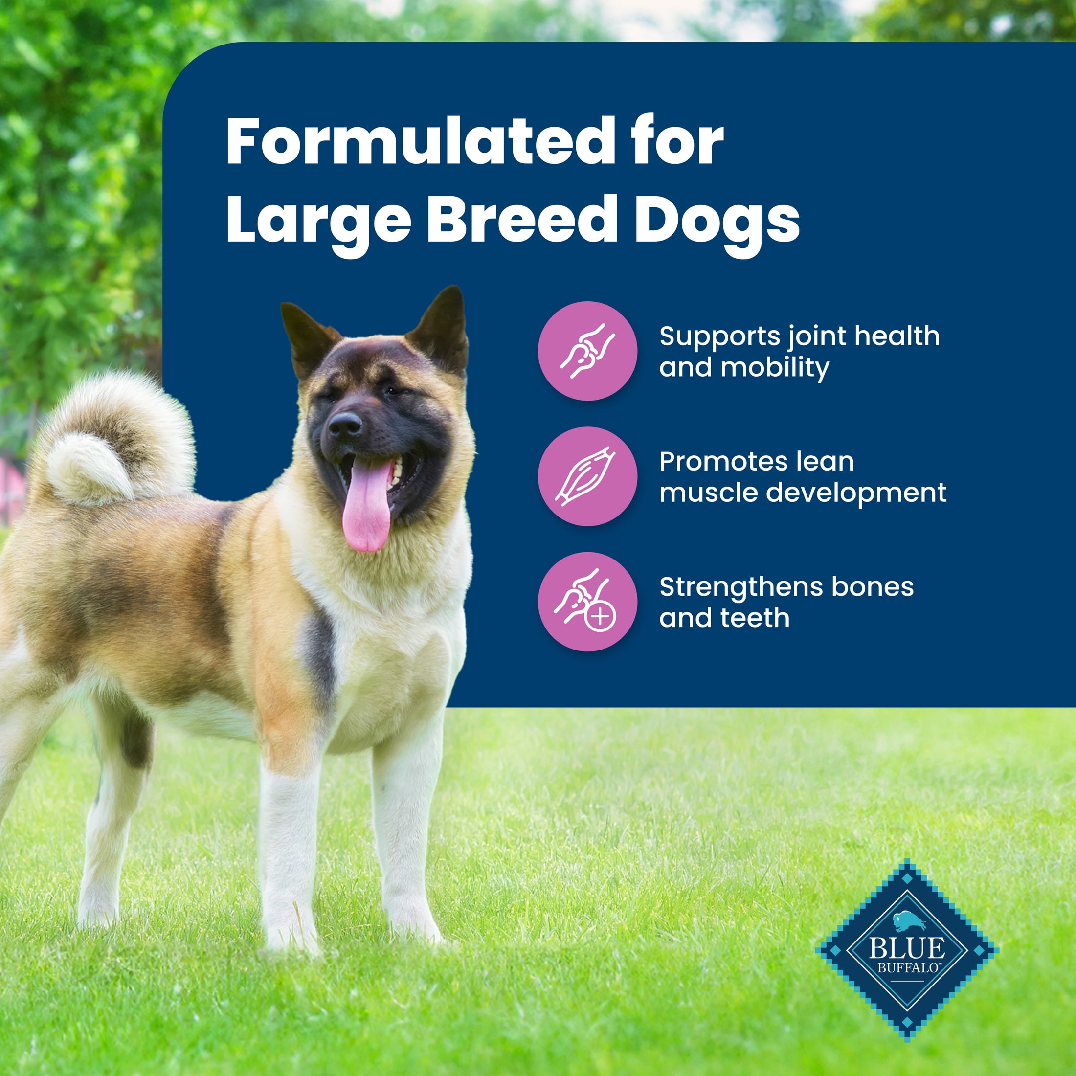 Blue Buffalo Life Protection Formula Large Breed Dry Dog Food, Lamb & Rice, 30-lb. Bag