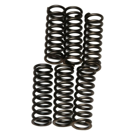 EBC - CSK Series Heavy Duty Clutch Spring Kit
