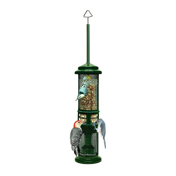 Brome Squirrel Buster Squirrel Proof Nut Feeder