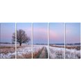 thumbnail image 2 of Dry Oak Tree in Winter Panorama, 2 of 3