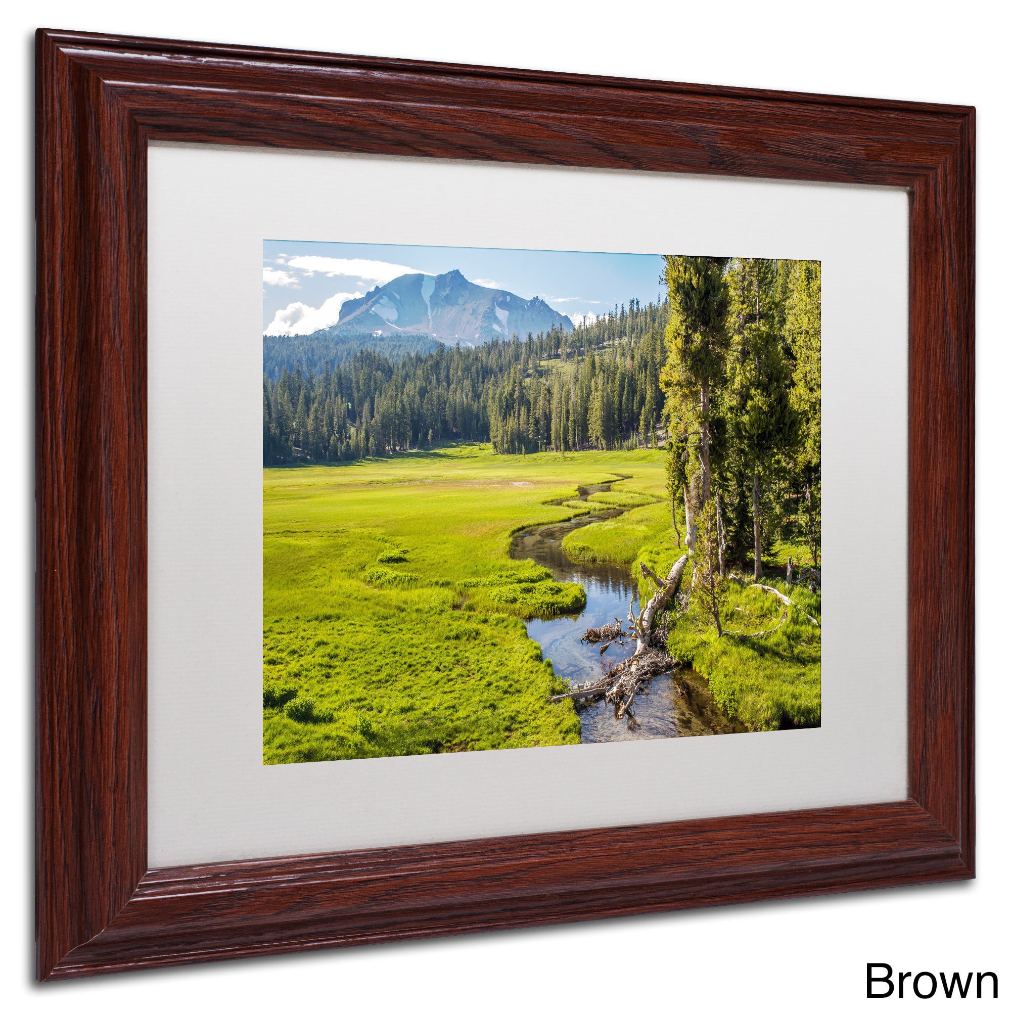Trademark Pierre Leclerc "Lassen Meadow" Art White Matte W/Black Frame 16" x 20" (PL0129-B1620MF)