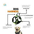thumbnail image 2 of Dog Harness, No Pull Vest Harness, Reflective Dog Harness | Size – Large, Easy Control Handle Walking and Running Pets, Green Adjustable and Chest | GOLDENROW, 2 of 4