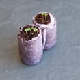 thumbnail image 6 of Pure Coco Coir Netted Seed Starting Pellets - 30mm - Pack of 100 - Renewable, Unamended - Superior to Peat Plugs - Self Contained Soil & Pot In One - Grow Garden Seedlings, 6 of 6