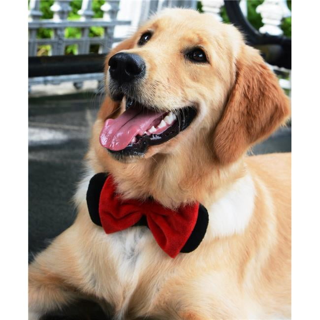 Extra large dog bow tie hotsell