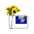 thumbnail image 1 of Ocean Jellyfish Science Nature Picture Artificial Sunflower Vases Bottle Blessing Card, 1 of 3