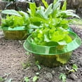 thumbnail image 4 of Primegos 20 Pcs Garden Cloches Planter Slug Collars Weather-Resistant Reusable Snail Defense Plant Cover Protectors, 4 of 8