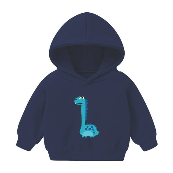 Fesfesfes Kids Hooded Sweatshirts for Boys Fall Long Sleeve Shirts Dinosaur Print Shirts Toddler Pullover Hoodie Shirts