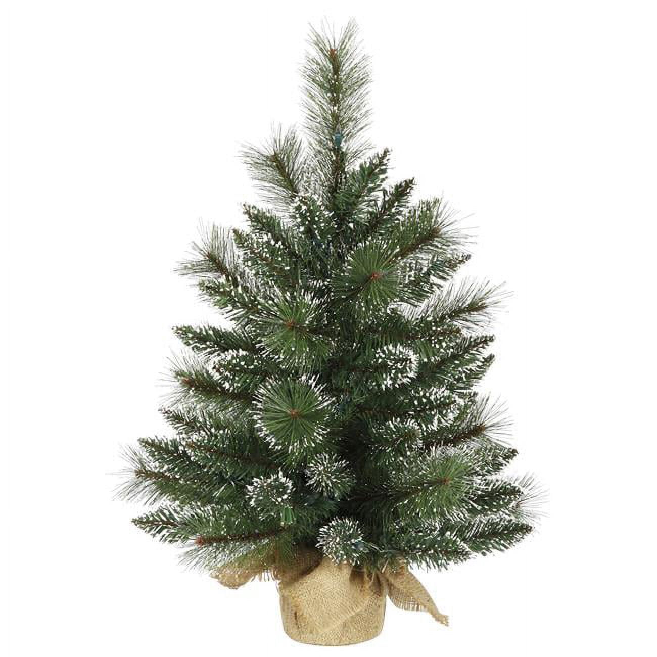 Vickerman B166424 2 Pi. x 16 Po. Arbre à Neige Givré avec 52 Embouts