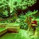 thumbnail image 4 of Guirnalda de Luces LJLNION 300 LED 30m Verde Impermeable 110V, 4 of 8