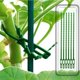 thumbnail image 5 of Paquete de 30 Estacas de Soporte para Plantas, Estacas para Plantas de Soporte para Plantas de un Solo Tallo de JardíN, Soporte para Plantas, Palos para Plantas, 5 of 5