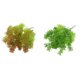 thumbnail image 1 of 2x Micro Flores Artificiales Adornos Plantas Suculentas Decoración de para hogar, 1 of 9
