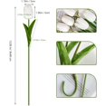 thumbnail image 2 of 20pcs White Tulips Artificial Flowers PU Fake Flowers Fake Tulips for Easter Decor Valentine's Day and Home Decor 13.5 Inch Spring Decor, 2 of 5