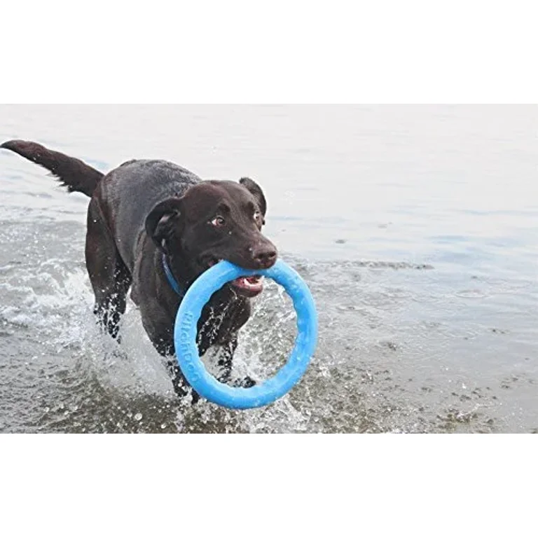 PitchDog Safe and Durable Fetch Ring for Dogs (Pink, 11 inches)