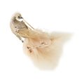 thumbnail image 3 of Rongfmy Christmas Tree Hanging Ornament, Christmas Decoration, Xmas Tree Decor for Dorm, Bird, 3 of 9