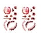 thumbnail image 1 of Tatuaje Temporal Innovadores TattooHal 2Pzs 10x6cm Mordida Tatuaje Temporal. SmileFun MXTHL-022, 1 of 2