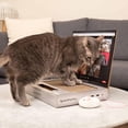 thumbnail image 3 of Laptop Cat Toy Scratcher con pantalla de videochat y Ball Track P, 3 of 4