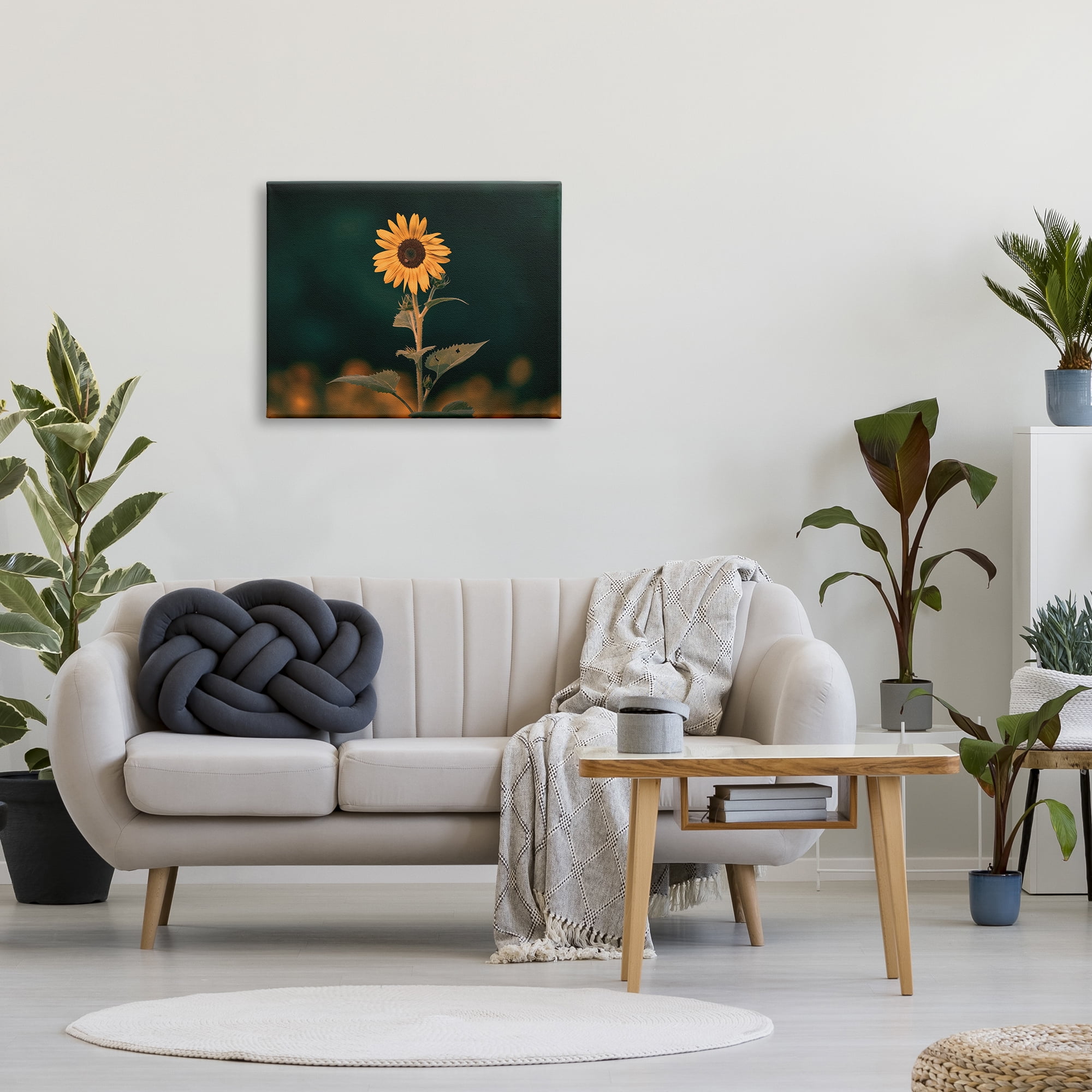 Stupell Industries Dark Sunflower Nature Botanical & Floral Photography Gallery Wrapped Canvas Art Print Wall Art, 30 x 24