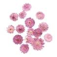 thumbnail image 4 of 10 x Hoja Flores Secas Decoración de Caja de Teléfono de Marcador de Libro - 4 Tipos - #2 02 Sunnimix Flor seca prensada, 4 of 8