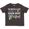 thumbnail image 3 of Inktastic My Sister is Just Down Right Perfect- Down Syndrome Awareness Ribbon Boys or Girls Toddler T-Shirt, 3 of 5