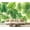 Color 3, variant on Wall Mural Peel and Stick Redwood National Forest Self-Adhesive Wallpaper Removable Wall Decal Wall Sticker Home Decor for Living Room Bedroom 100"x144"