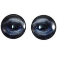 thumbnail image 2 of Blue Whale Glass Eyes, 2 of 10