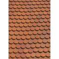 thumbnail image 1 of Ahgly Company Machine Washable Indoor Rectangle Transitional Tomato Red Area Rugs, 4' x 6', 1 of 7