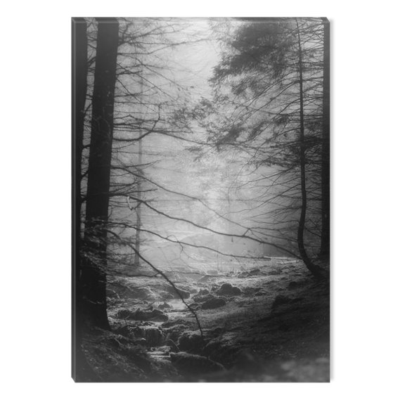 Startonight Canvas Wall Art Black and White Abstract Morning Walk in the Forest, Dual View Surprise Artwork Modern Framed Ready to Hang Wall Art 100% Original Art Painting 23.62 X 35.43 inch