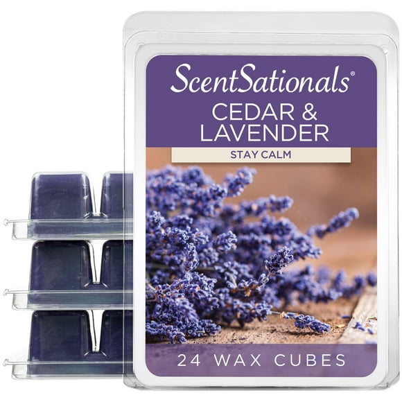 Wax Melts Scentsationals, aroma de cedro y lavanda, 300 ml