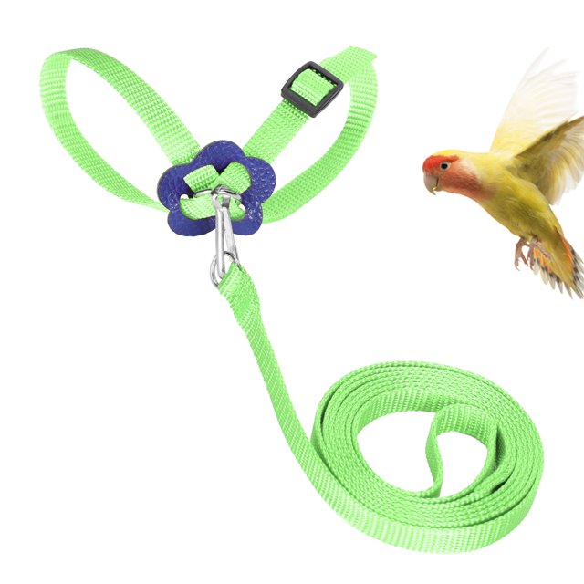 Arnés y correa para pájaros de mascotas arnés y correa para pájaros correa ajustable para pájaros arnés y correa para pájaros antimordida de nailon para entrenamiento al ANGGREK Otros